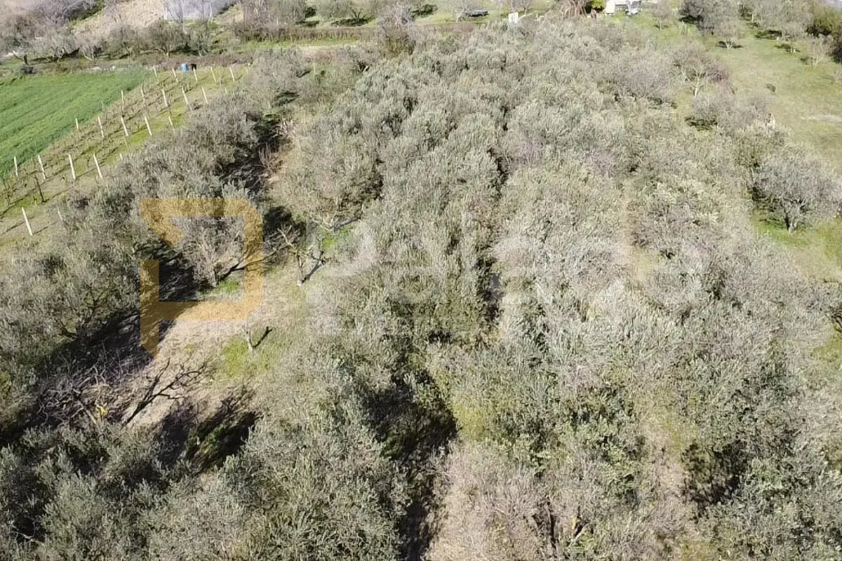 murvica gornja: građevinsko zemljište 550 m2 - slika 3