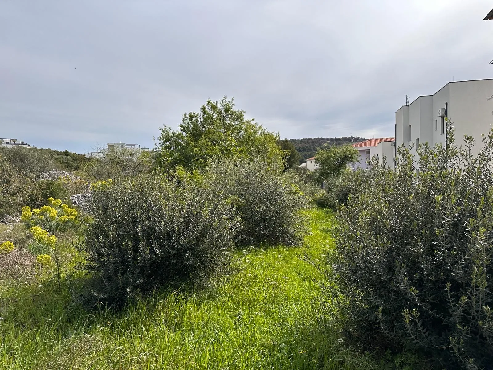građevinsko zemljište - mavarčica - slika 3