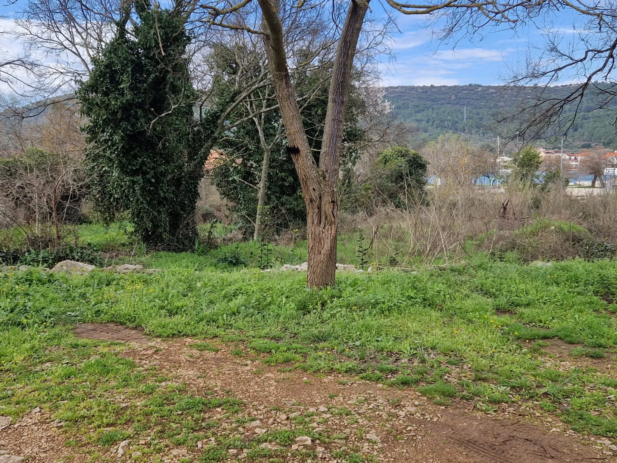 prekrasan građevinski teren blizu mora, bilice, 1000 m2 - slika 8