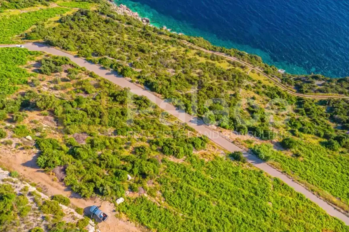 vinograd s pogledom na more i otoke - pelješac, dingač - slika 11
