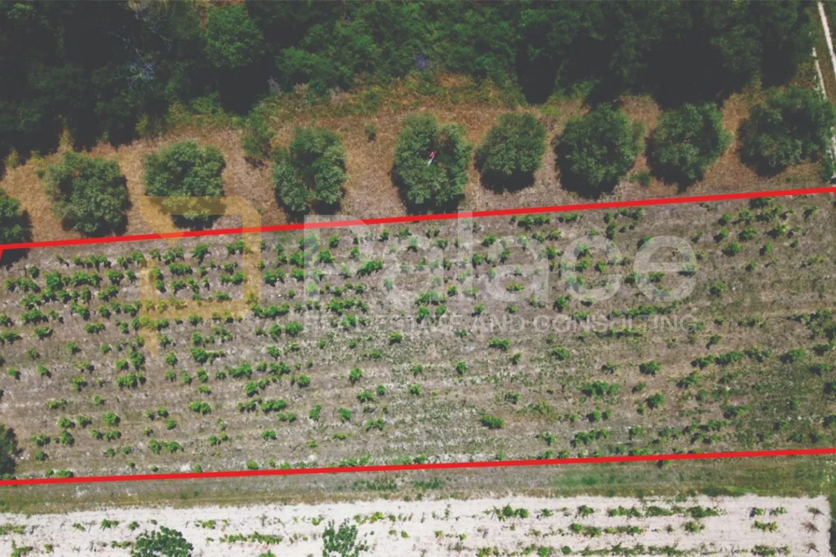 prodaja vinograda 1.470m2 - donje polje - slika 2