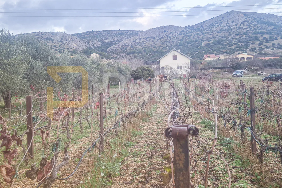 kuća na zemljištu s vinogradom i maslinikom, 2500 m2, donje polje - slika 17