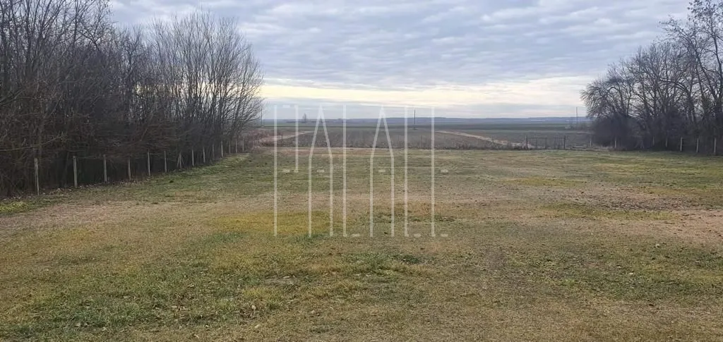 prodaja imanja novi bolman 85000 m2 (kuća s okućnicom i voćnjak) - slika 9