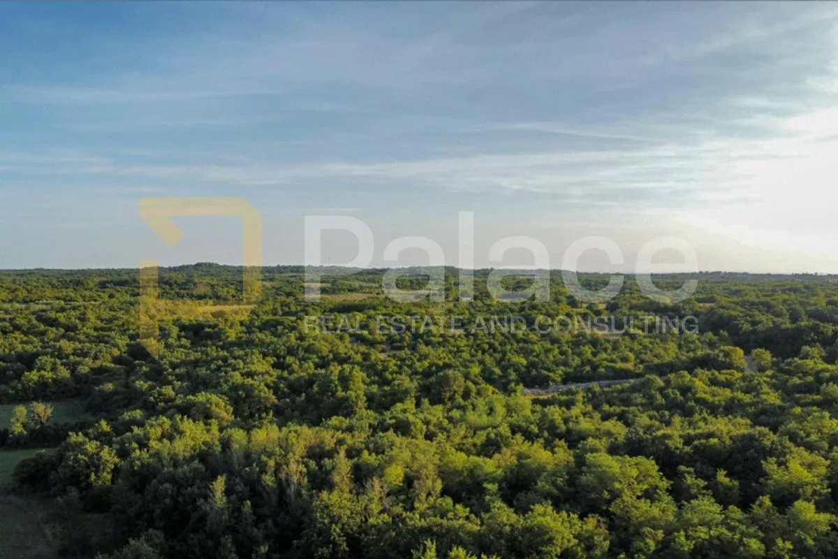 rijetka ponuda: 8.000 m² investicijskog zemljišta u okolici vodnjana - slika 2