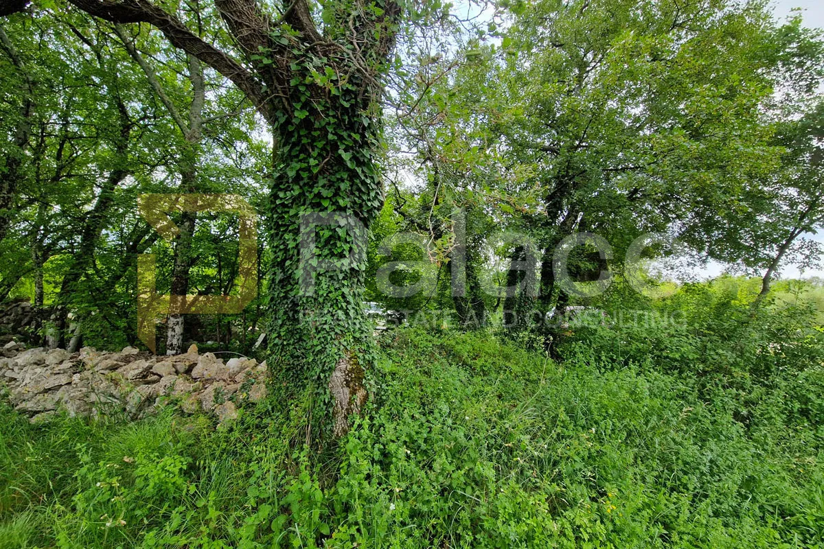 veliko zemljište s pristupom na otoku krku – rasopasno, 3.228 m² - slika 5