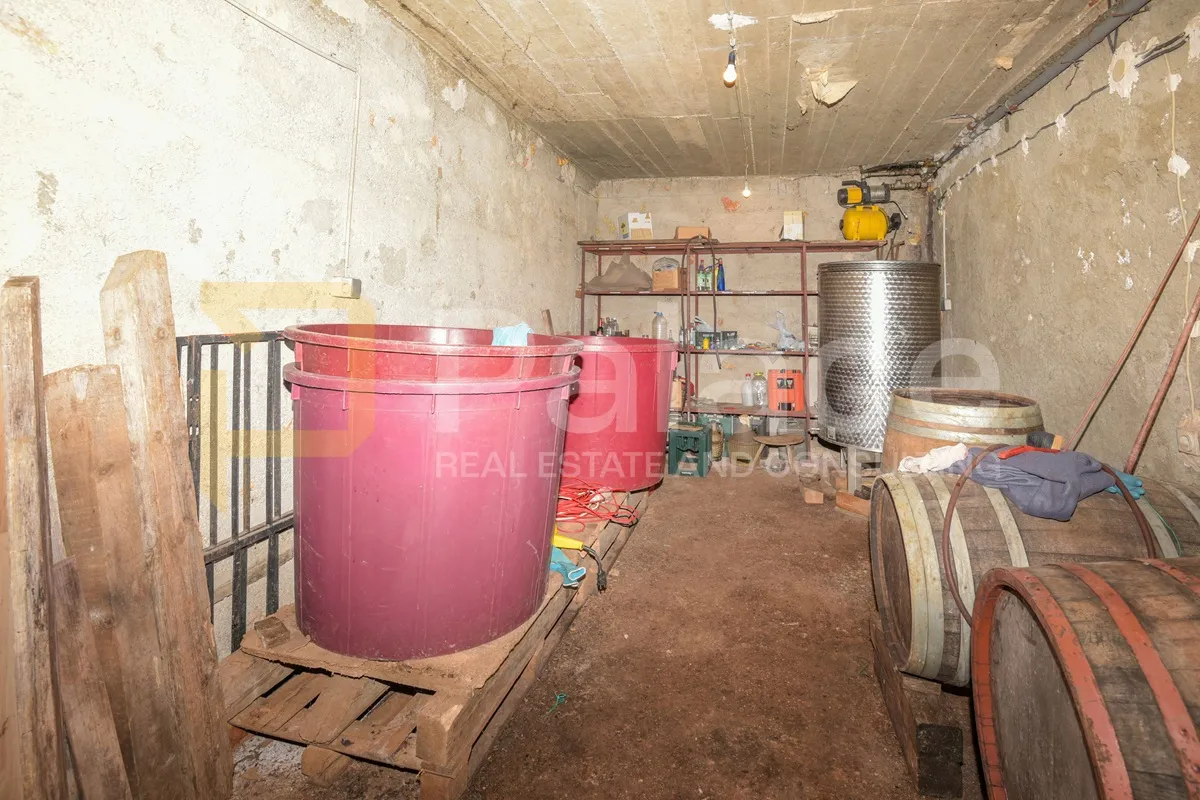 stambeno poslovna kuća s velikom okućnicom, stankovci-crljenik, 300 m2 - slika 25
