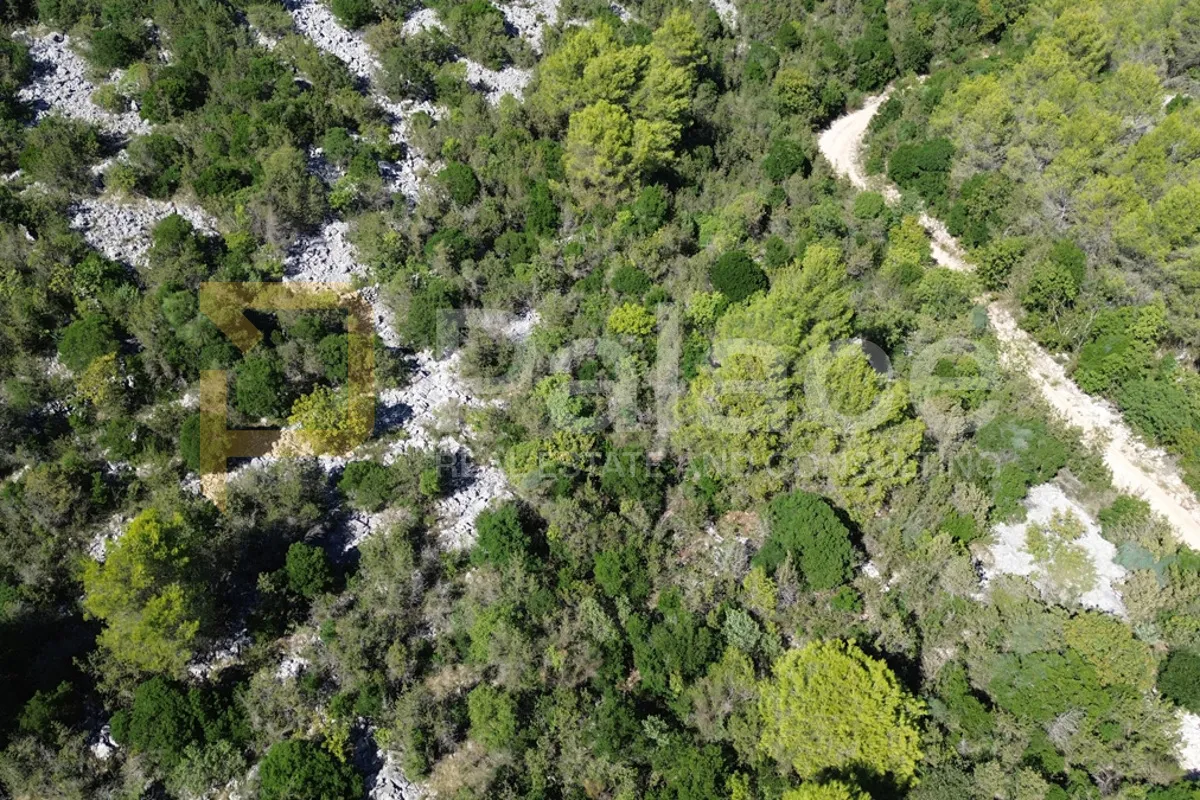poljoprivredno zemljište prvi red do prokljanskog jezera - slika 5