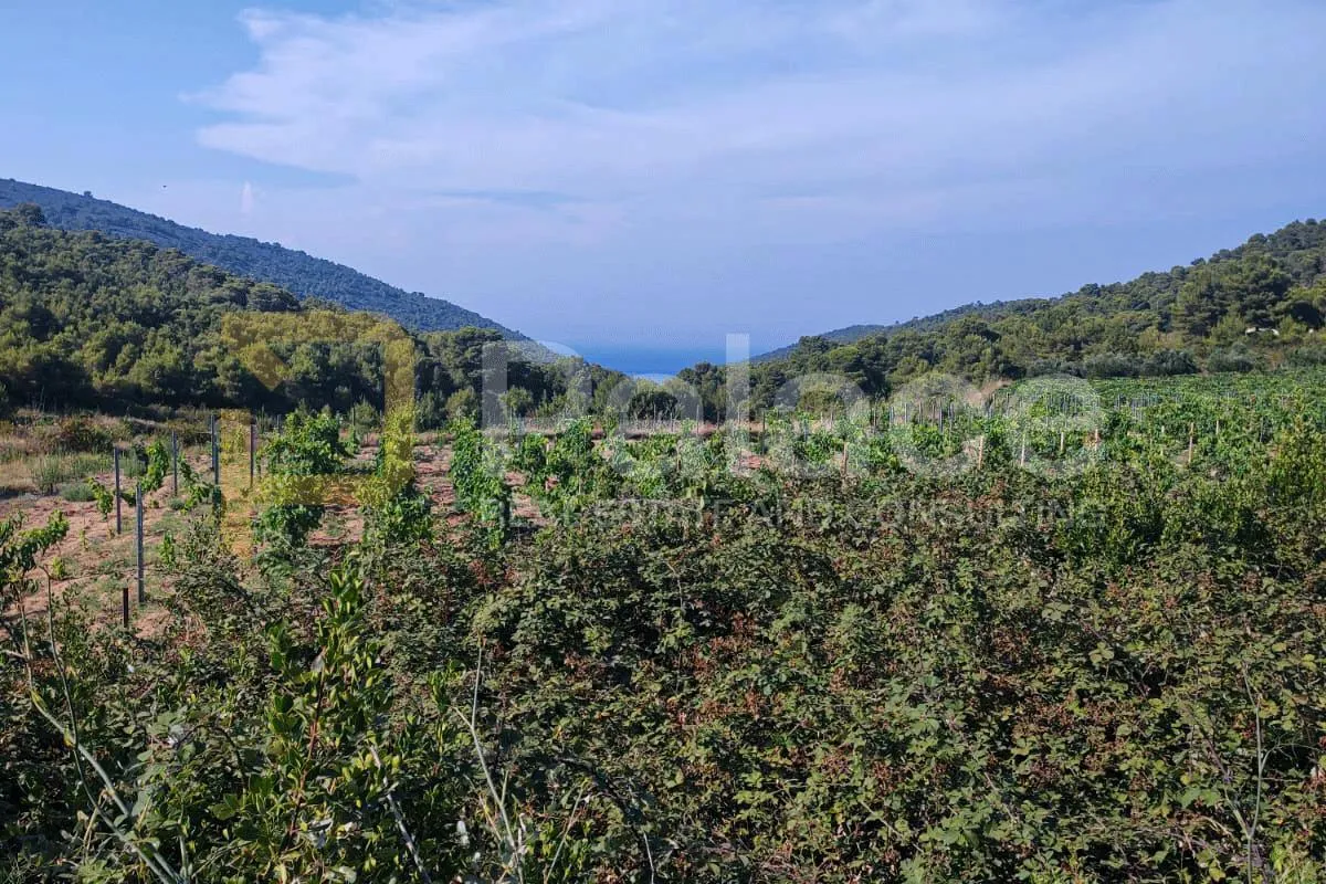 poljoprivredno zemljište na visu, 7127 m2 - slika 8
