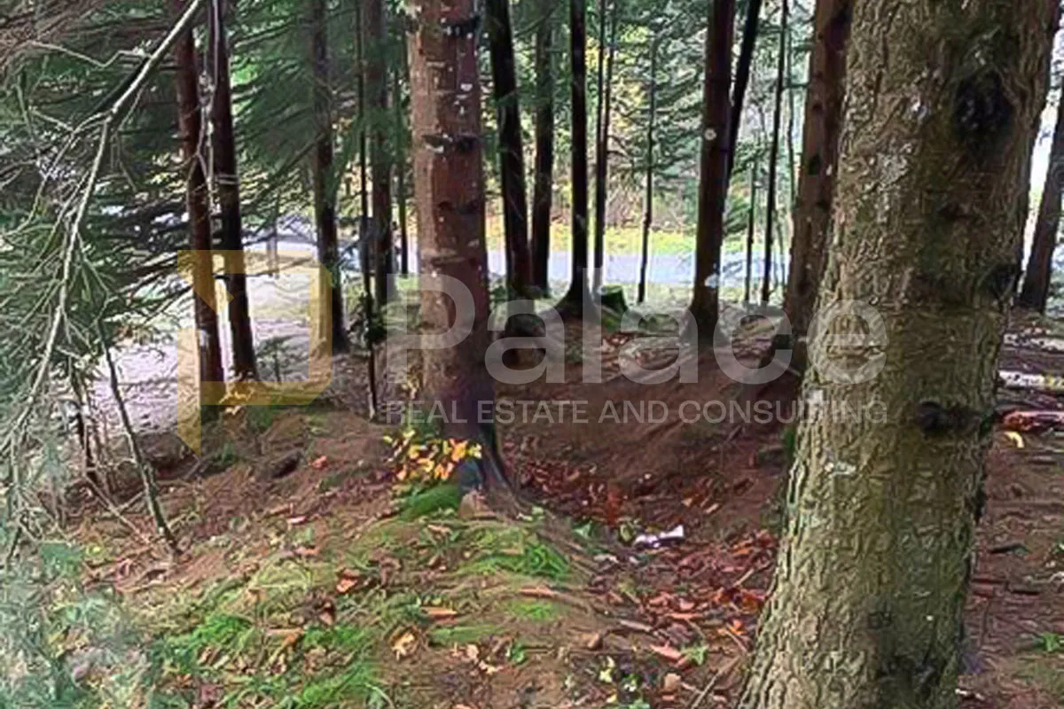 priroda i mir! zemljište uz potok – hlevci, gorski kotar, 2.363 m² - slika 2