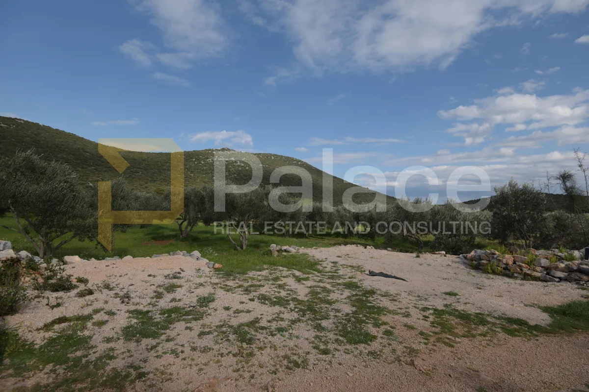 uređen i obrađivan maslinik sa 25 maslina u pirovcu, 1382 m2 - slika 13