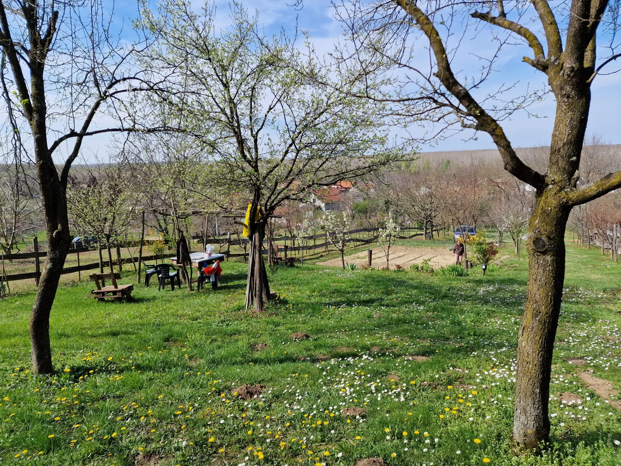 bajkovita kućica s predivnim pogledom, u zelenoj oazi, aljmaš - slika 14