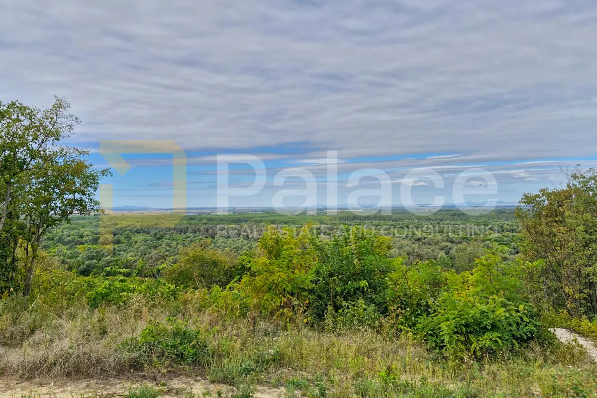 jedinstvena prilika u baranji – pogled na dunav i puškaš - slika 2