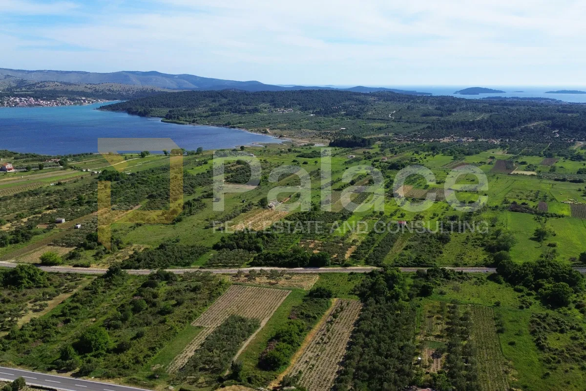 prodaja vinograda 700m2 - donje polje - slika 12
