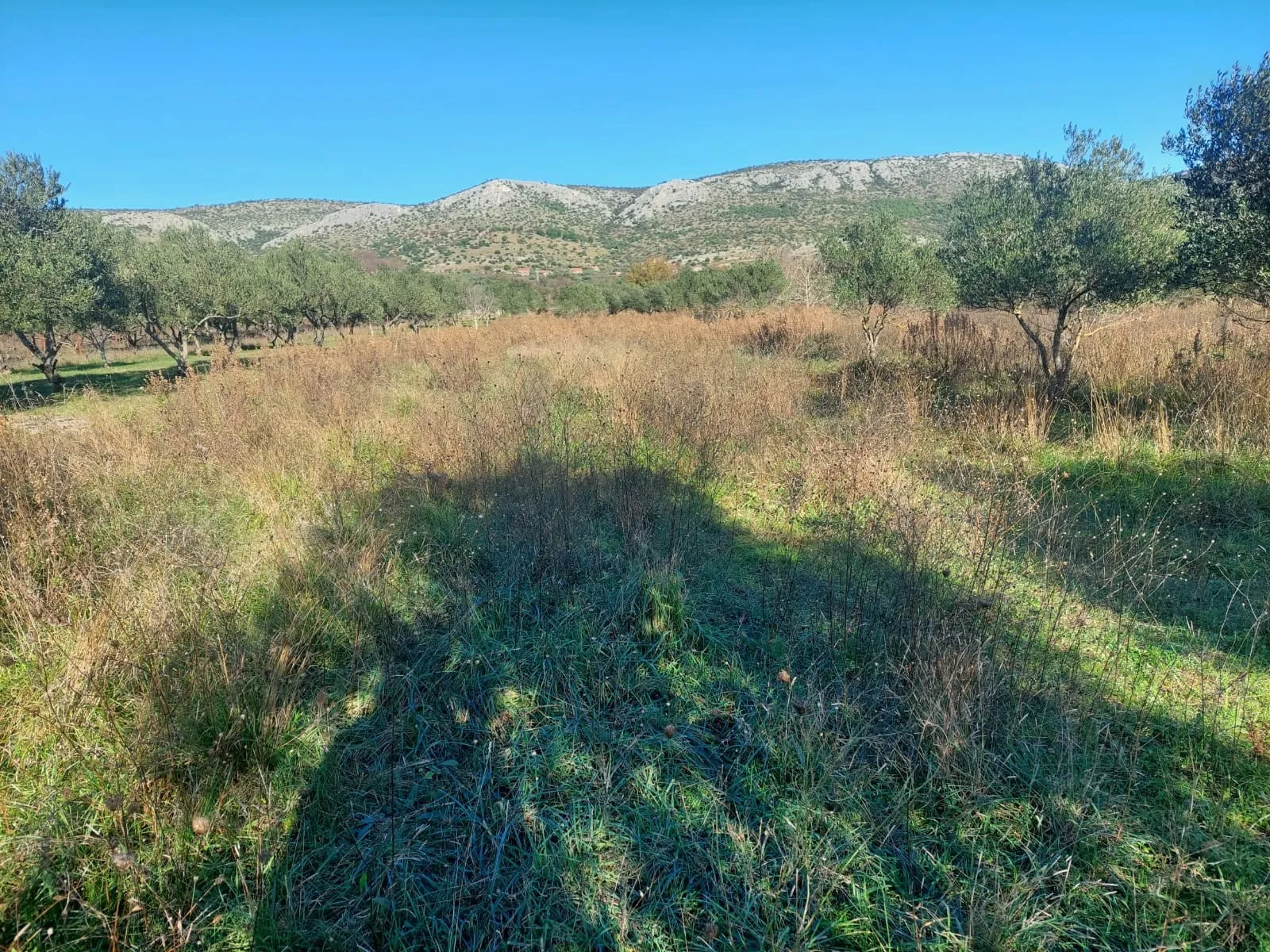 donje polje - poljoprivredno zemljište 1285 m2 - slika 2