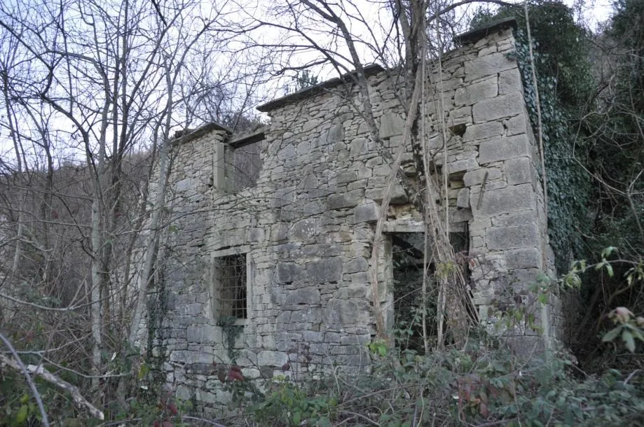 istra: okolica buzeta, građevinsko +poljoprivredno zemljište 82.500m2 - slika 5