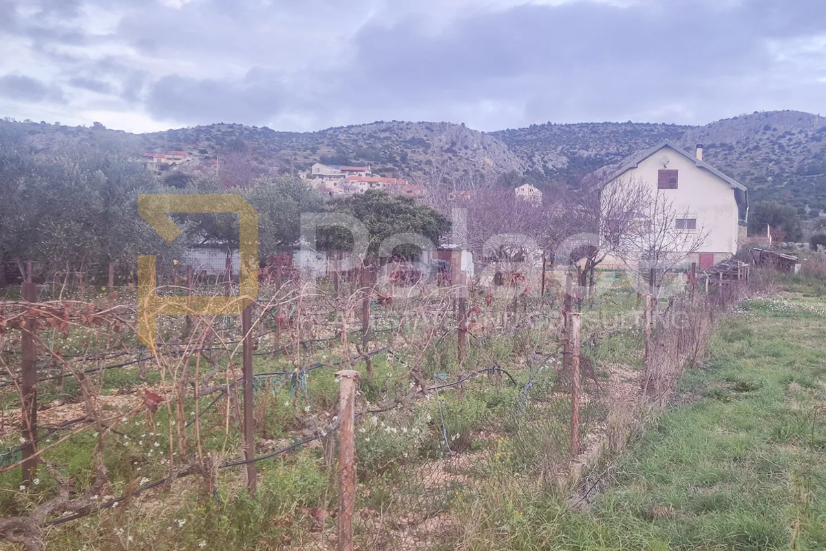 kuća na zemljištu s vinogradom i maslinikom, 2500 m2, donje polje - slika 16