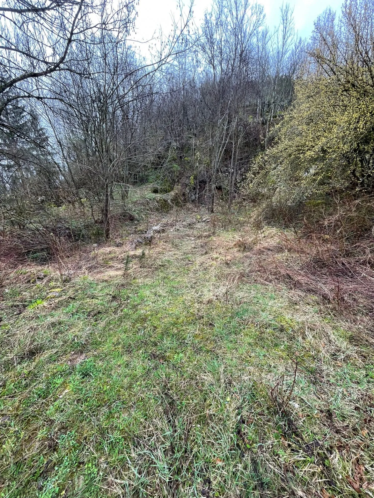 povoljno!! građevinsko zemljište 2290 m2 - slika 3