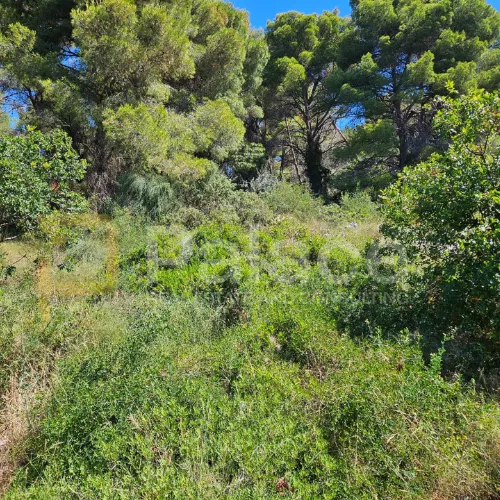 trogir, građevinsko zemljište, prilika - slika 2