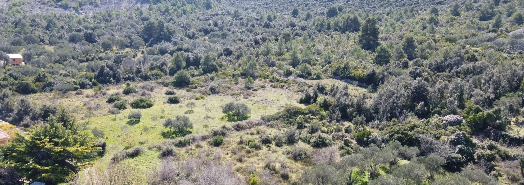 poljoprivredno zemljište 6616m2 tkon - slika 1