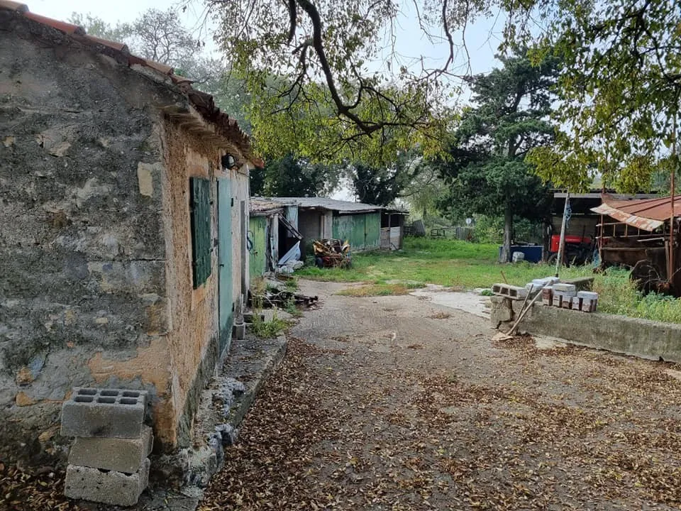 zemljište 933m2 sa starinom, priključak za struju i vodu, valtura - slika 3