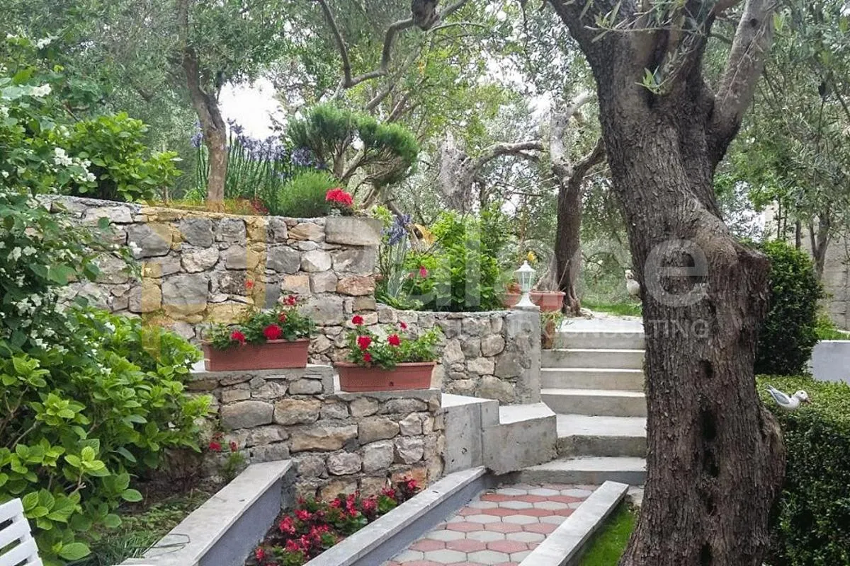 *prekrasna kuća s apartmanima, tučepi* - slika 17