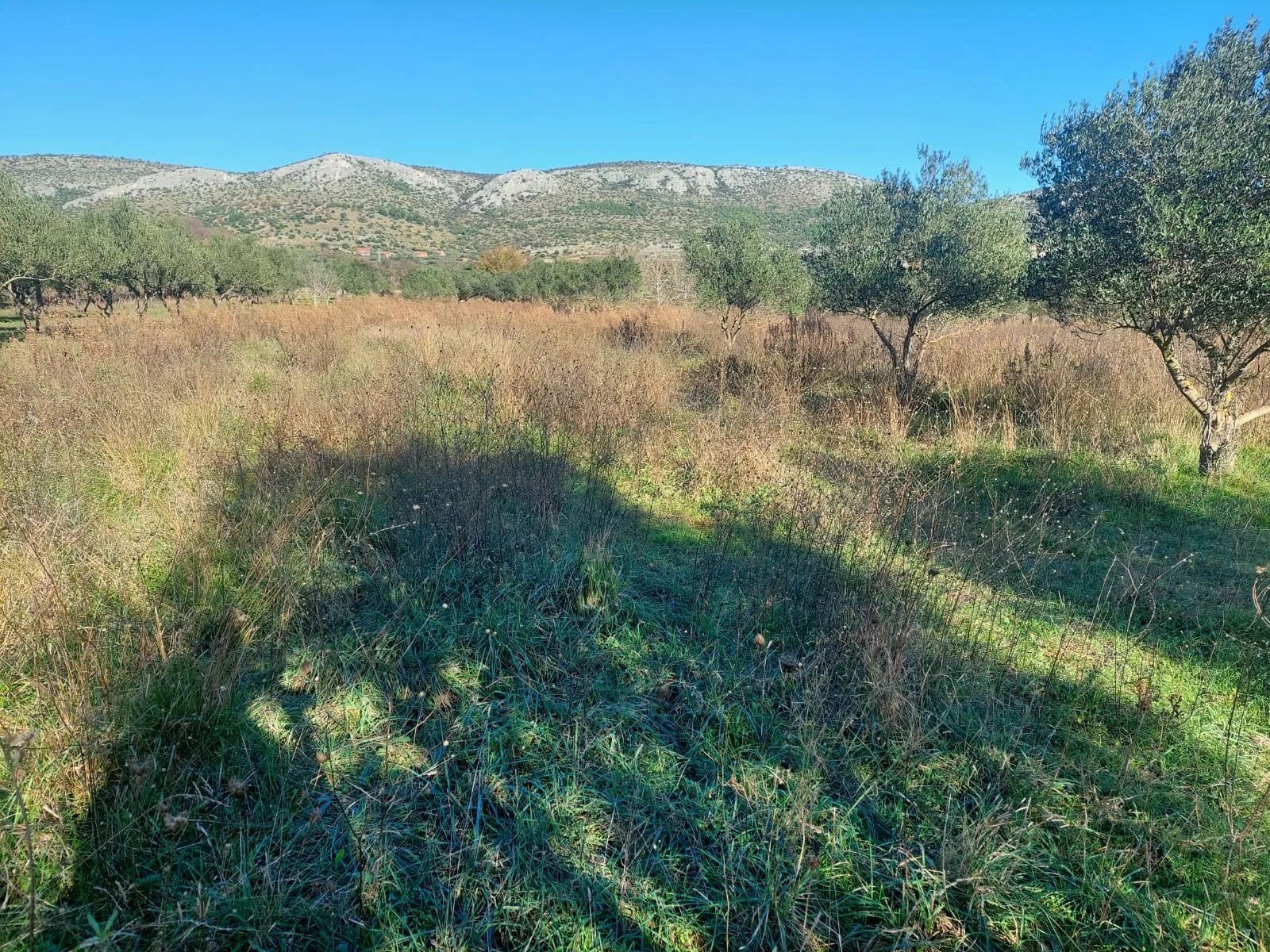 Donje polje - poljoprivredno zemljište 1285 m2 - Ražine, Šibenik