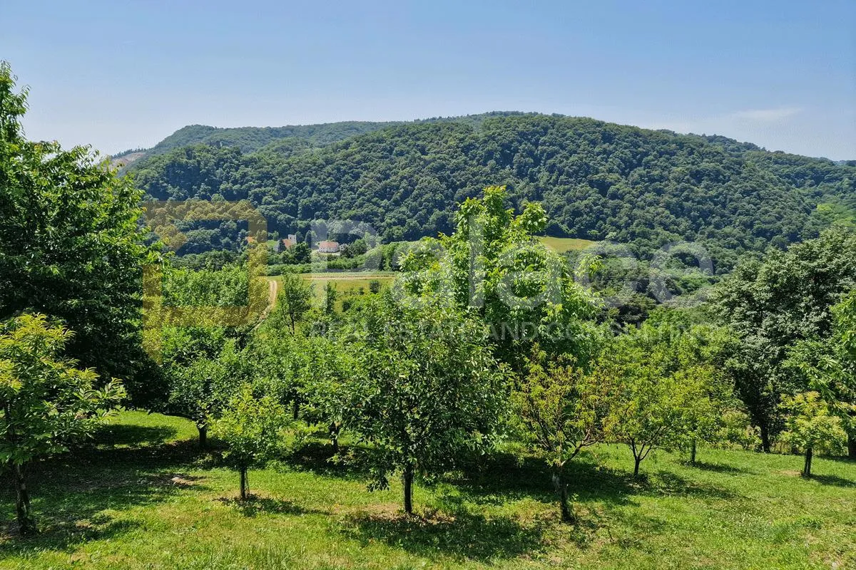 kuća s dvorištem i pogledom, bregi kostelski, 446 m2 - slika 19