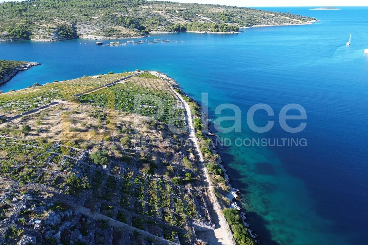 rodni vinograd uz more u primoštenu - bucavac, 6305m2 - slika 9