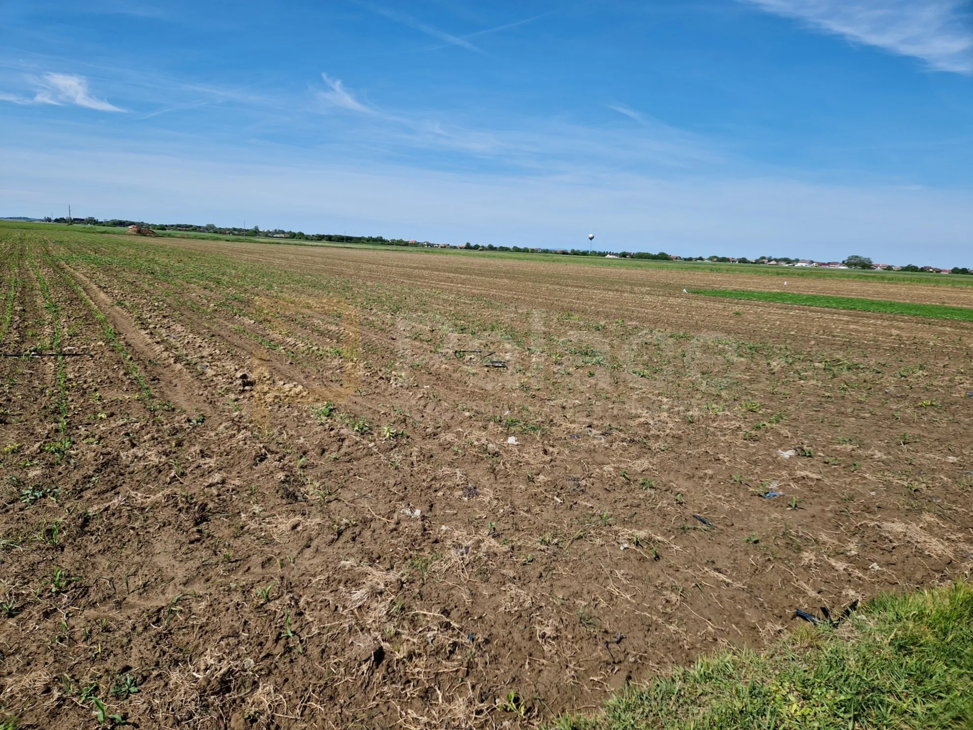 poljoprivredno zemljište kod čepina 7023 m2 - slika 3