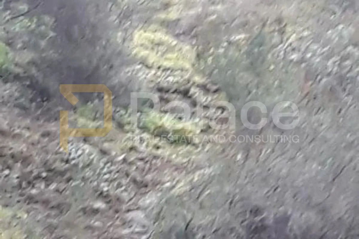 poljoprivredno zemljište, vrisnik na hvaru, 24000m² - slika 11