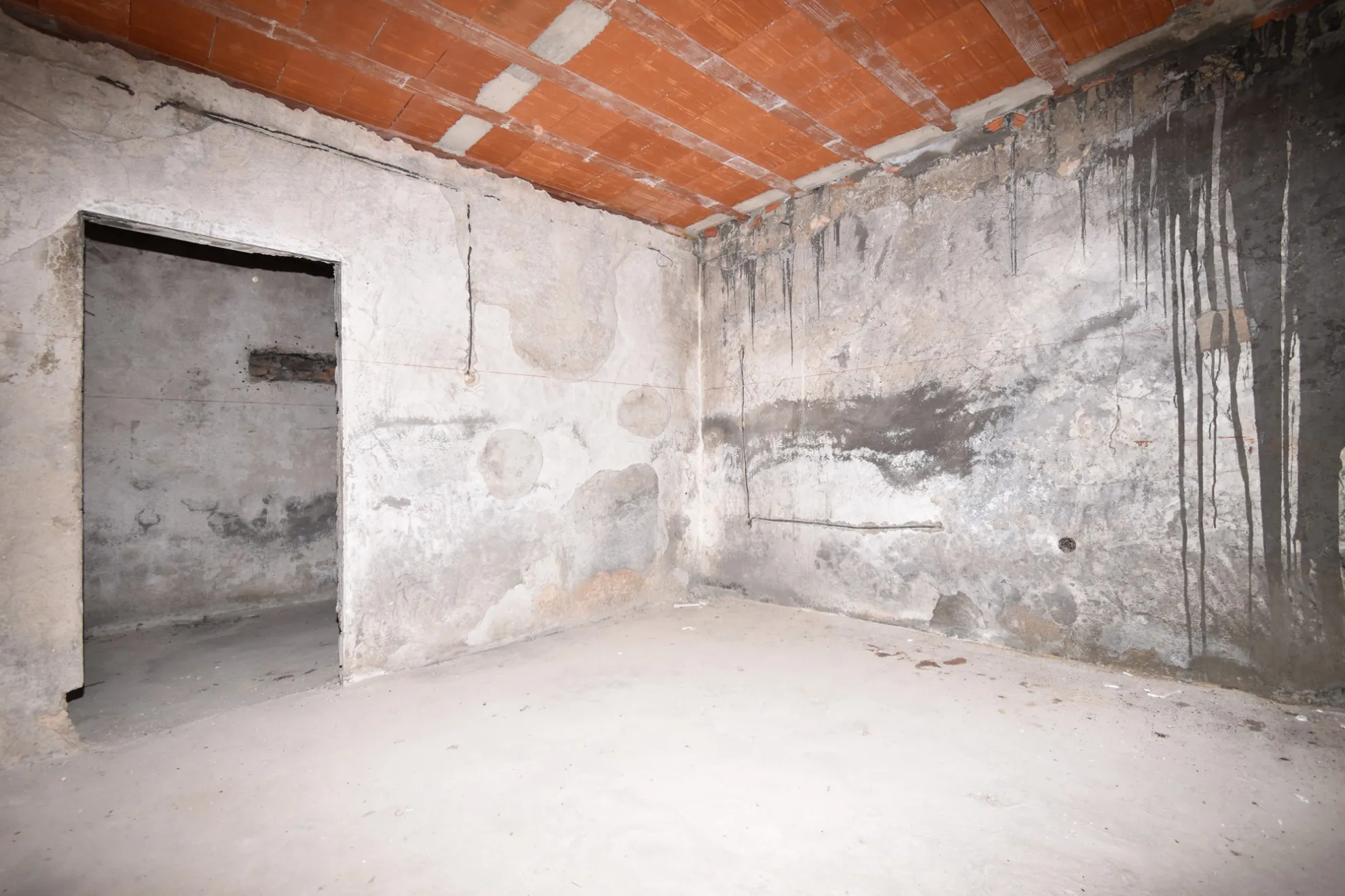perspektivna kuća s velikim dvorištem: bribir, 150.00 m2 - slika 7
