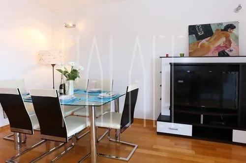 penthouse : seget donji, 170.00 m² - slika 16