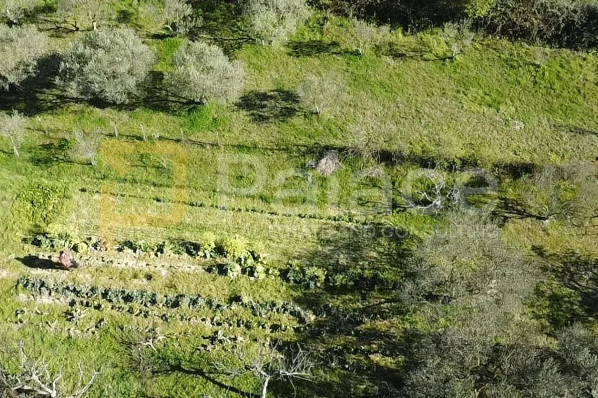 murvica gornja: građevinsko zemljište 550 m2 - slika 2