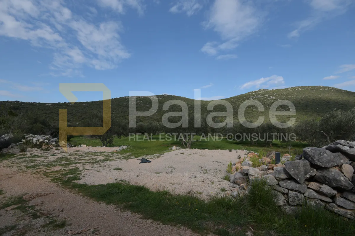 uređen i obrađivan maslinik sa 25 maslina u pirovcu, 1382 m2 - slika 14