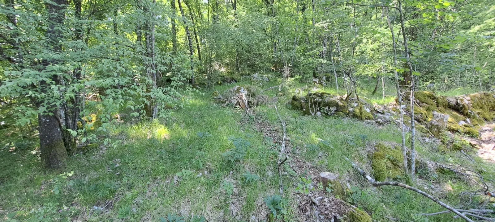prilika! prostrano građevinsko zemljište, 5387m2, matulji (zvoneća) - slika 4