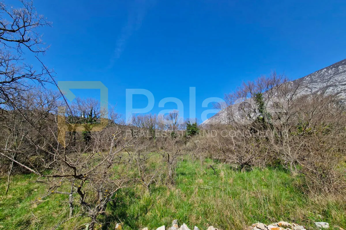 drivenik – poljoprivredno zemljište 967 m², mir i priroda - slika 6