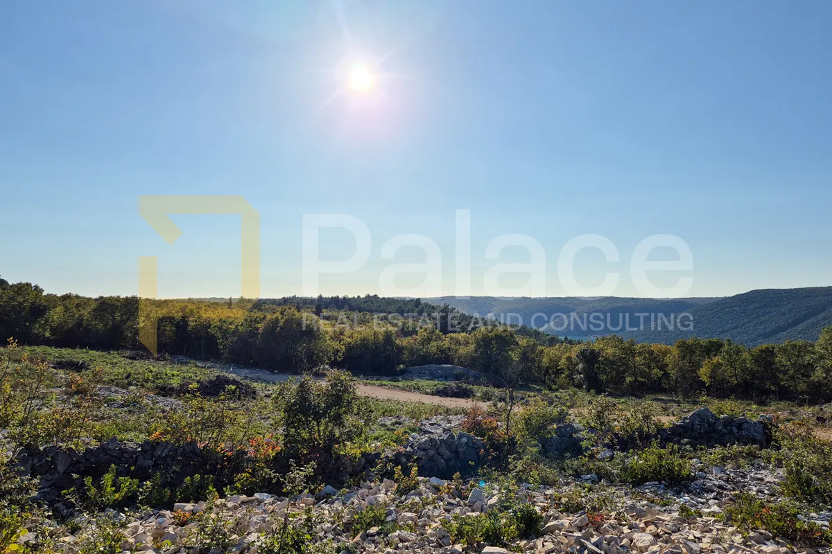 prostrana građevinska parcela, pogled na more - 11.500m2, trget, istra - slika 3