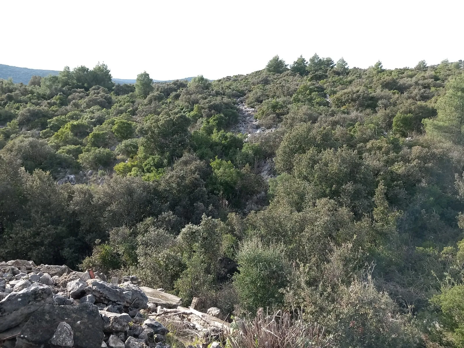 na prodaju poljoprivredno zemljište u marini, 4264 m² - slika 4