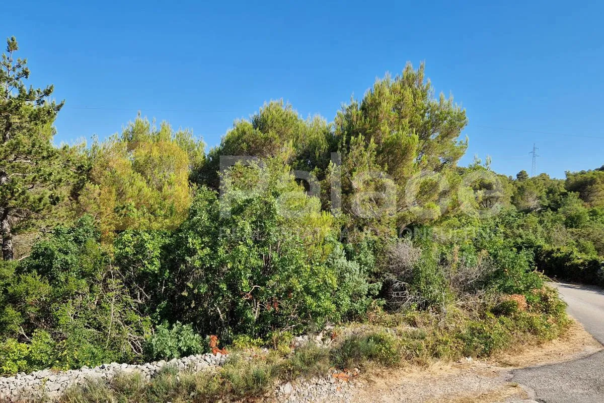 građevinski teren u mirnom dijelu bilice s pristupnim putem 1500 m2 - slika 2
