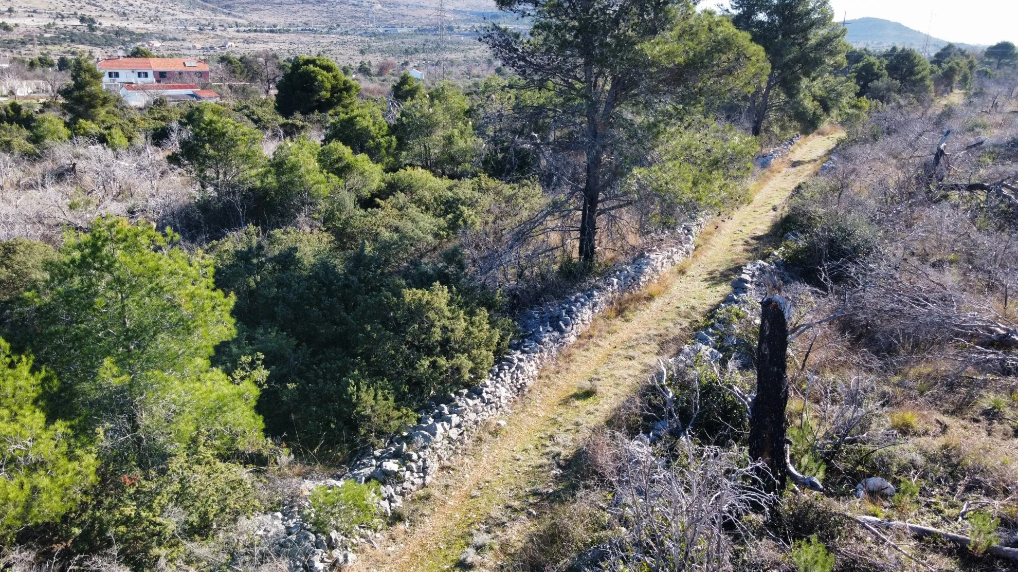 građevinsko zemljište, šibenik, bilice, 15.000 m2 - slika 2