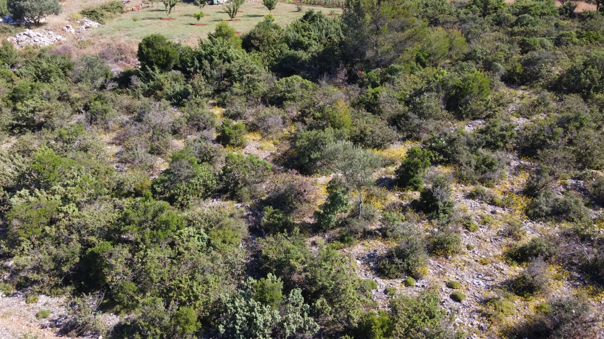 RAŠTANE (Podvršje): Građevinsko zemljište 1270 m2 - Donje Raštane, Sveti Filip i Jakov