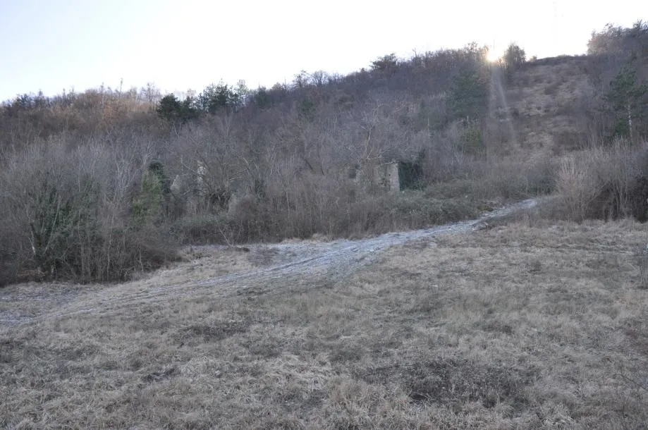 istra: okolica buzeta, građevinsko +poljoprivredno zemljište 82.500m2 - slika 3