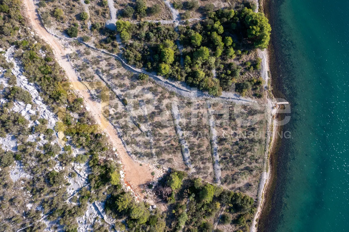 bilice, vrulje: poljoprivredno zemljište u prvom redu do mora 4050m2 - slika 4
