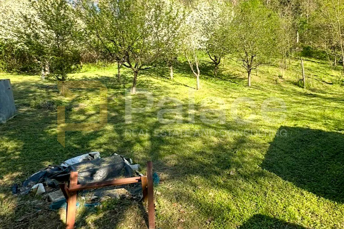 kuća s velikim zemljištem i vinogradom – savršeno za ruralni turizam - slika 4