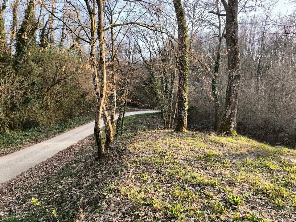 građevinsko zemljište u srcu istre, pazin/mečari, 1083m2 - slika 3