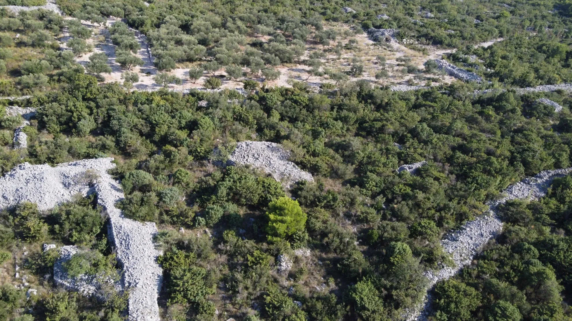 prosika: poljoprivredno zemljište, 617 m2 - slika 3