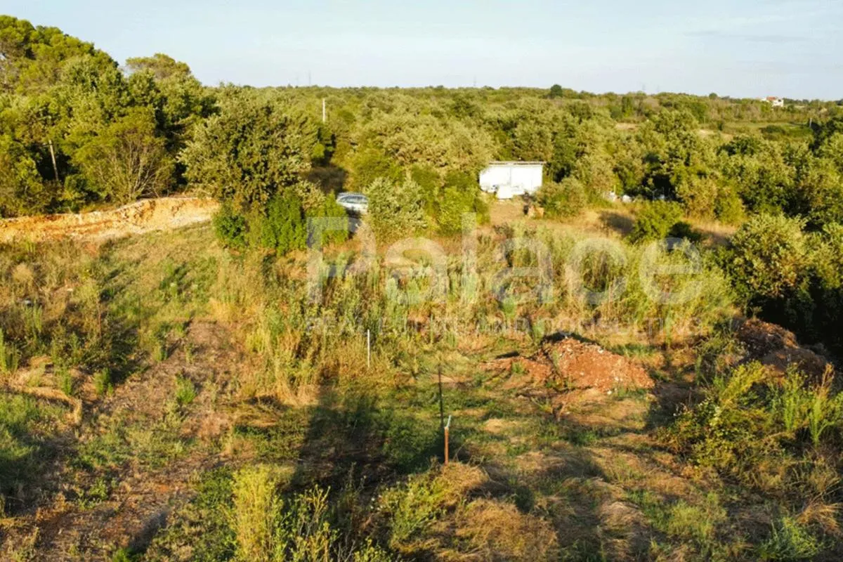 rijetka ponuda: 8.000 m² investicijskog zemljišta u okolici vodnjana - slika 4
