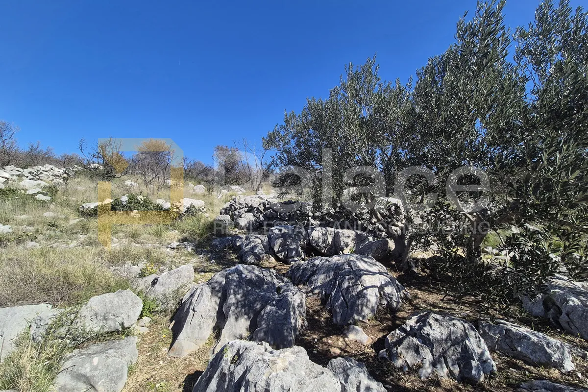 poljoprivredno zemljište u primoštenu 4 584 m2 - slika 6