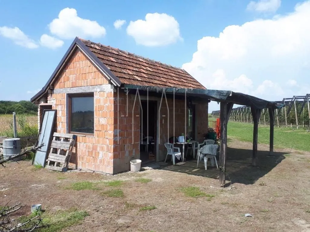 prodaja imanja novi bolman 85000 m2 (kuća s okućnicom i voćnjak) - slika 7
