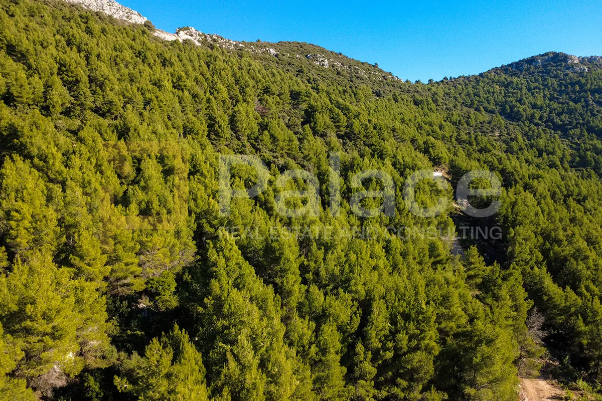trstenik, pelješac - jedinstveno poljoprivredno zemljište, prvi red do mora - slika 5